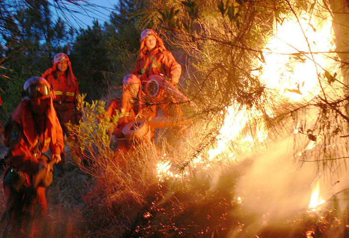 云南玉溪：清明祭祀引发森林大火