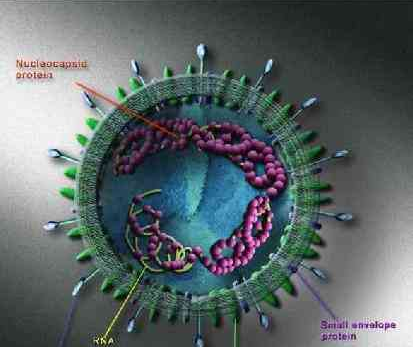 日内瓦:世卫--新型冠状病毒是全球威胁