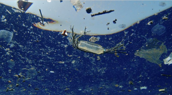海洋塑膠垃圾每年會造成1500萬海洋生物死亡