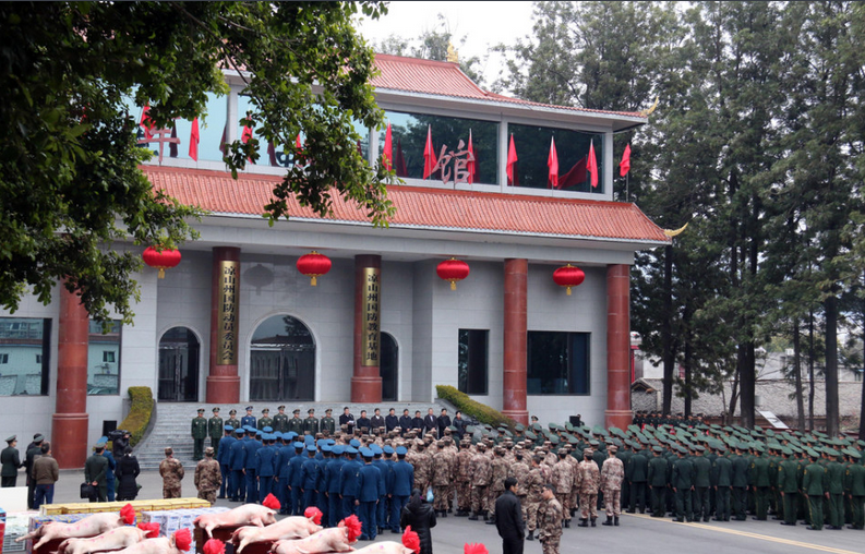 四川凉山政府慰问驻军 60头肥猪头戴红花 