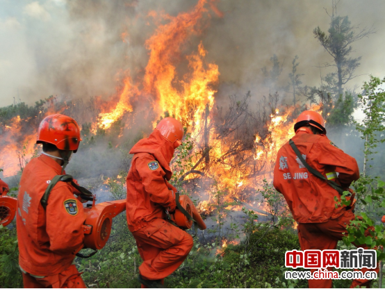 武警森林部队参与灭火。图片由武警森林指挥部提供 