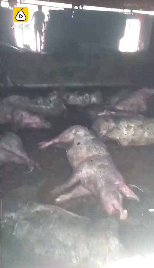 嘶嘶嘶嘶的声音 d02788e9b33e1a8ca9da08.png