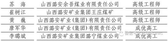 煤炭的清洁化利用是国家能源领域的重要战略，黄巍也在工作中力推清洁能源项目的建设与实施。