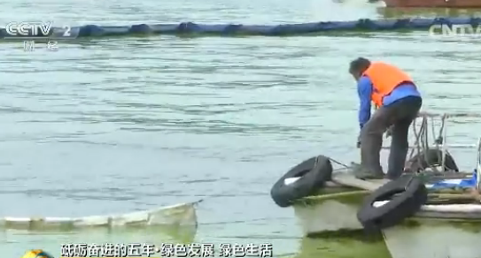 【砥砺奋进的五年】江苏无锡:打捞蓝藻 治理太湖 【砥砺奋进的五年】江苏无锡:打捞蓝藻 治理太湖