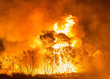 意大利：罕见干旱天气导致意北部山火肆虐