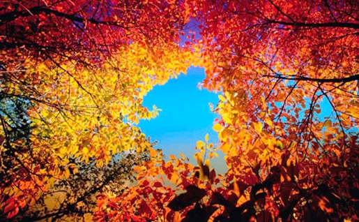 Chine : dix endroits pour admirer les feuilles rouges de l&apos;automne
