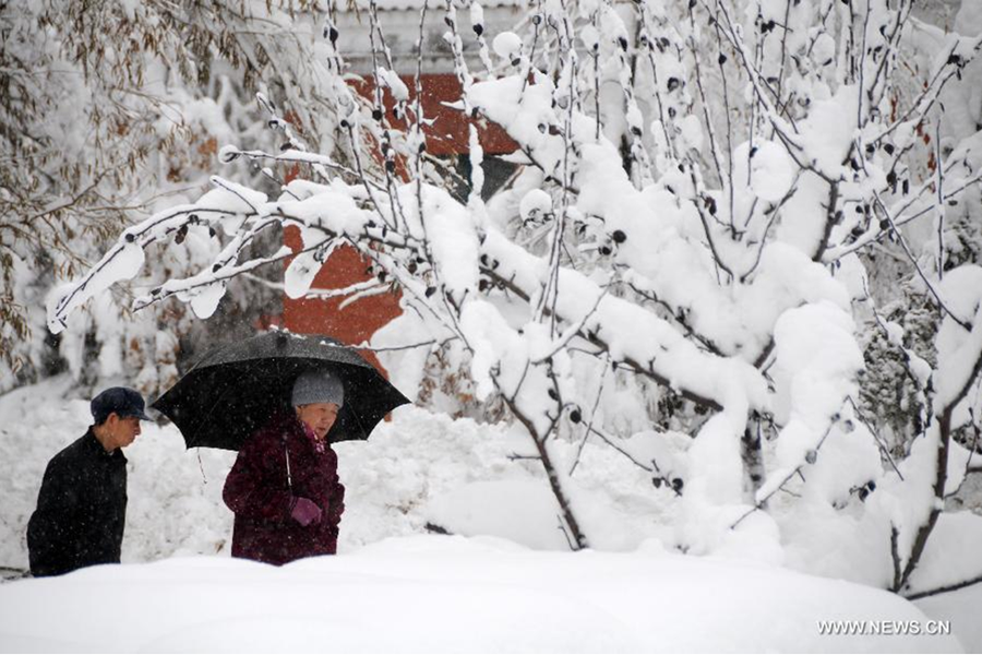 Natur Und Umwelt German China Org Cn Nordchina Gr Ter Schneesturm