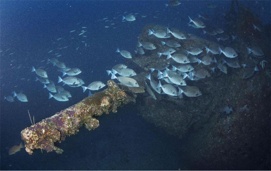 第二次大戦中の米掃海艦、沈没の写真が公開