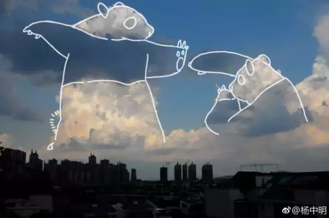 Облако в форме панды над китайским городом Чэнду