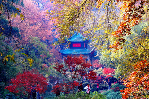 Otoño colorido - diez destinos turísticos donde contemplar hojas rojas en China 2