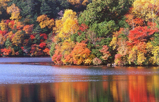 Otoño colorido - diez destinos turísticos donde contemplar hojas rojas en China 3