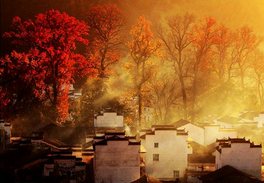 Otoño colorido - diez destinos turísticos donde contemplar hojas rojas en China 8