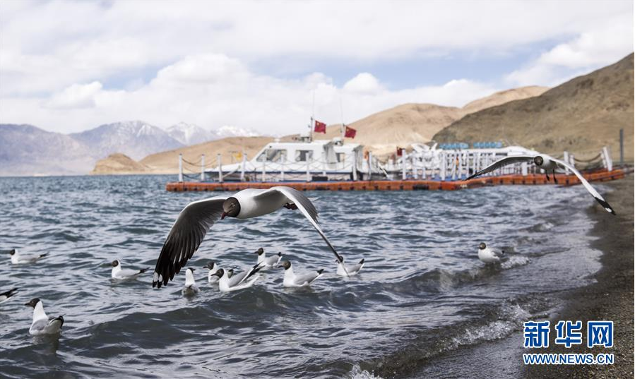 Camino celestial mejora vida en meseta tibetana 4