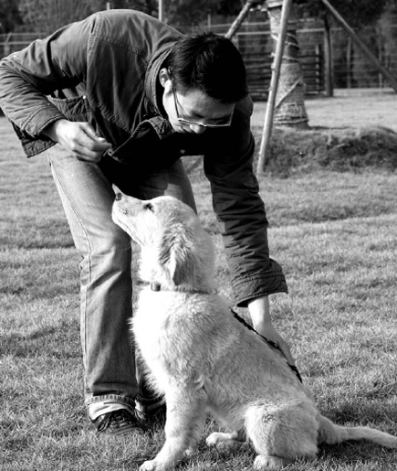 A dog is all ears as his trainer put him through the paces at Paradise Kennel in Shanghai. 