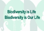 2010 International Year of Biodiversity