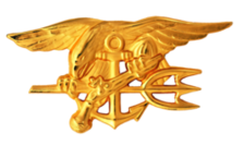 The Special Warfare insignia, or 'SEAL Trident.'