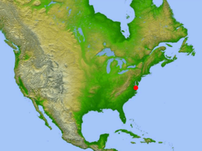 Top 10 largest meteor craters on Earth by China.org.cn - Chesapeake Bay Crater