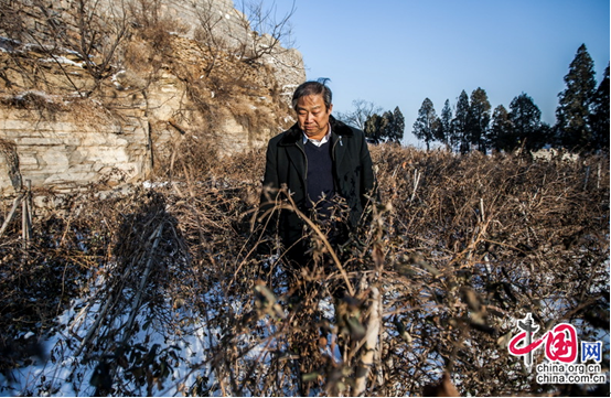 Liu Jiakun, a deputy from east China's Shandong Province, walks along the bare areas at dusk on a snowy winter day, where a tangle of withered honeysuckle vines spread their branches near the entrance to Jiujianpeng Village. [chinagate.cn by Zheng Liang] 