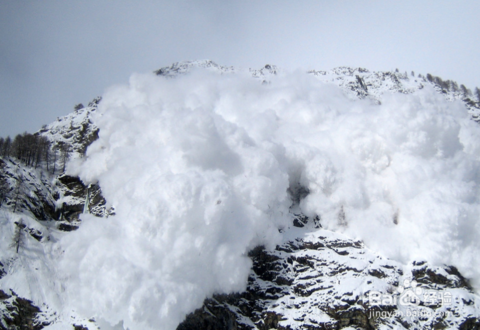 An avalanche in southwest China's Tibet Autonomous Region on Sunday morning buried nine people, local authorities said. 
