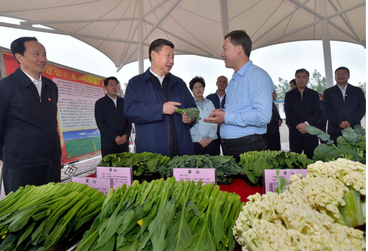 President Xi Jinping asks about the growing and sale of local vegetables in Yaomo Village of Pengbao Town in Guyuan City, northwest China's Ningxia Hui Autonomous Region, July 18.