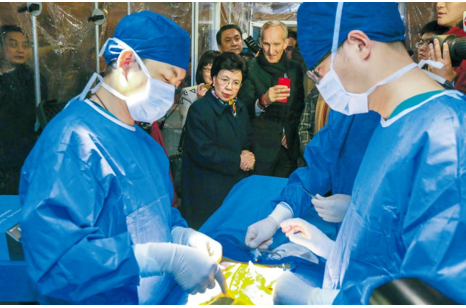 Margaret Chan (center), the World Health Organization's director-general, watches mock surgery in a field hospital set up by the China International Emergency Medical Team in Shanghai yesterday on the sidelines of the Global Conference on Health Promotion. The team has been certified by the WHO to help people around the world affected by disasters and disease. 
