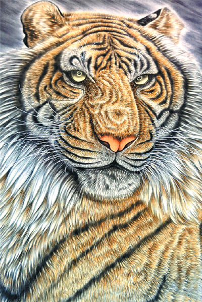Portraiture is a popular format for tiger paintings by farmers in Wanggongzhuang village. China Daily