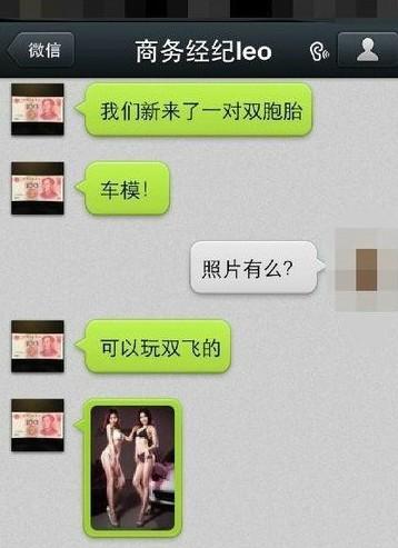 双生林志玲图片
