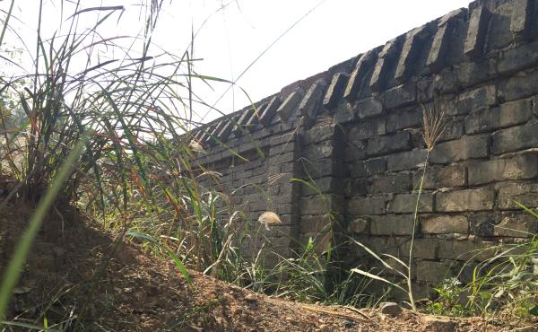 湖南被劫杀教师执教30余年将退休 生前月薪两三千