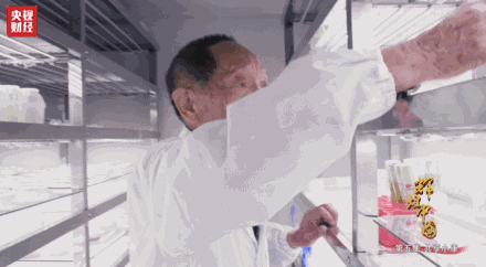 中国这位老人影响全世界半个世纪！刚刚又创一项世界奇迹！