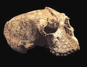 prehistoric man photograph