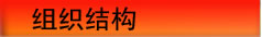 组织结构
