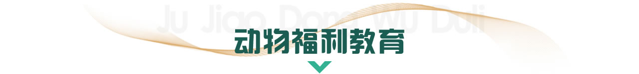 动物福利教育