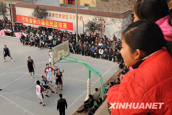 丰收年景_丰收年 农民 收入(2)