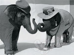 <em>加大码女短裤</em>胖mm夏性价比 大码牛仔短裤 女