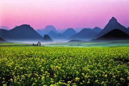 罗平旅游景点大全_罗平旅游收入(3)