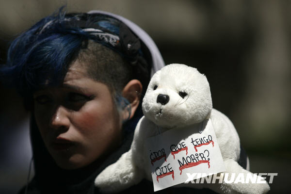 墨西哥动物保护主义者抗议加拿大捕杀海豹