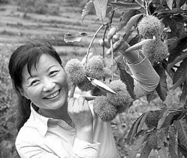 罗田天堂寨_罗田农民平均收入(2)