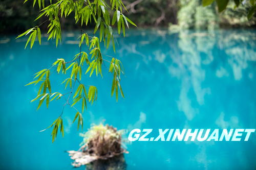 收入证明_贵州旅游收入