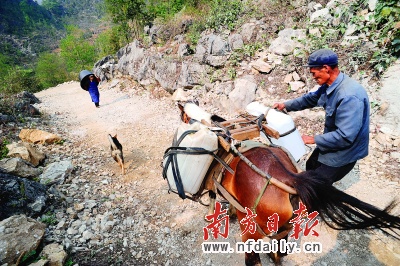 那坡总人口_那坡黑衣壮服装图片