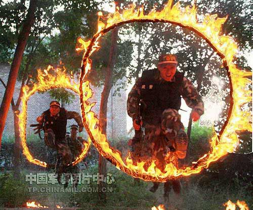 武警兵团指挥部有没有召回退伍军人回原部队-