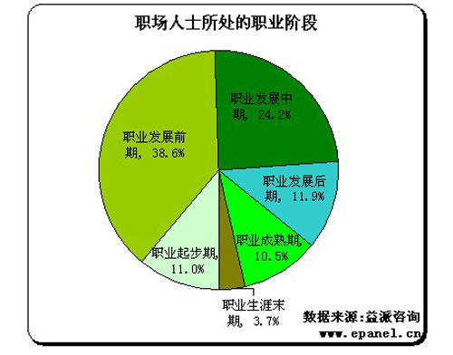 在公司的职业发展设想