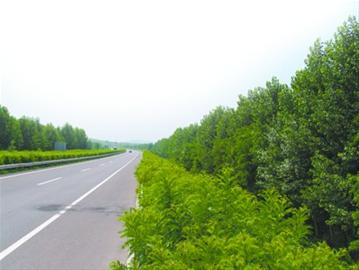 鲜活海鲜高速收费吗_鲜活海鲜背景图片大全_海鲜超市门头图片(3)