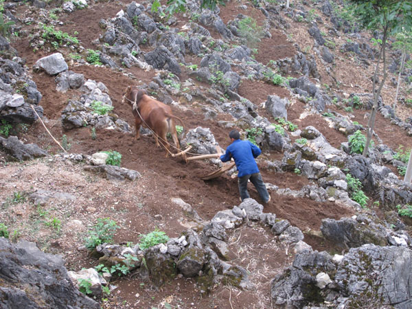 水利部调研组赴贵州广西进行三位一体调研_