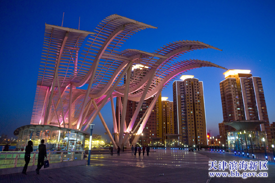 天津塘沽外滩夜景图片
