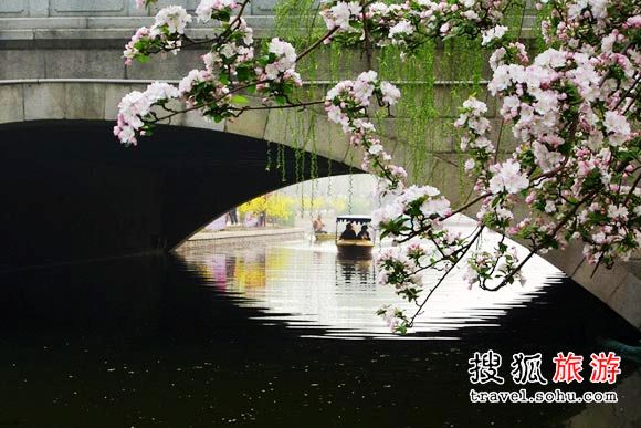北京元大都遗址公园绝美海棠花雨(图)