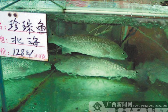 鲜活海鲜餐饮加盟_鲜活海鲜_海鲜超市门头图片(3)