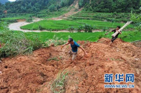 广西乐业县逻沙乡多少人口_广西百色乐业县照片(3)