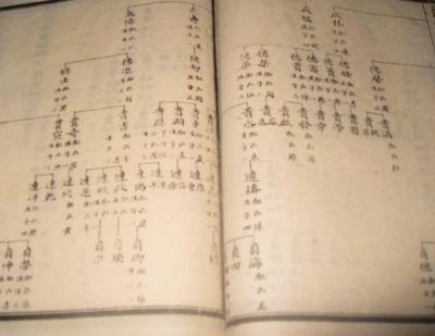 双是啥部首 6016036029636523890.jpg