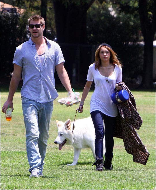 <em>早熟少女</em>麦莉赛勒斯 和男友公园草坪上演限制