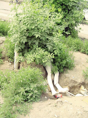 天津:商家乱丢残破模特 草丛露断腿吓坏路人